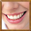 dental insurance